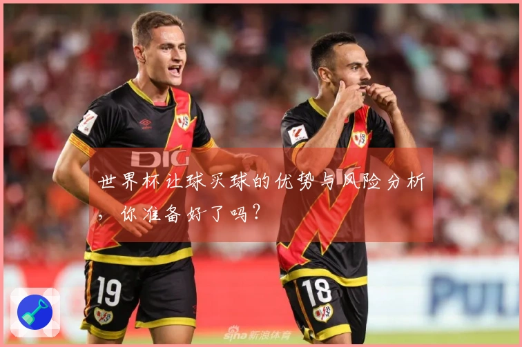 世界杯让球买球的优势与风险分析，你准备好了吗？