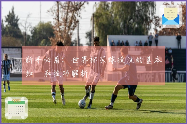新手必看：世界杯买球投注的基本知識和技巧解析